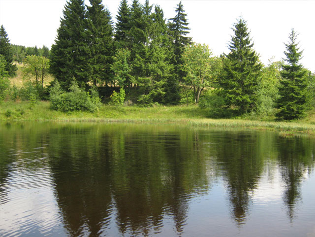 Cottage U Valášků — photo 35
