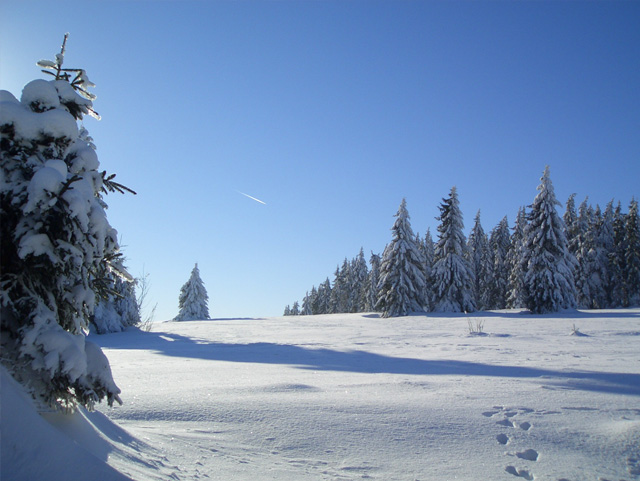 Cottage U Valášků — photo 40