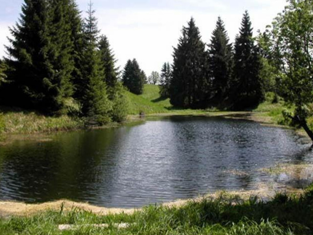 Cottage U Valášků — photo 43