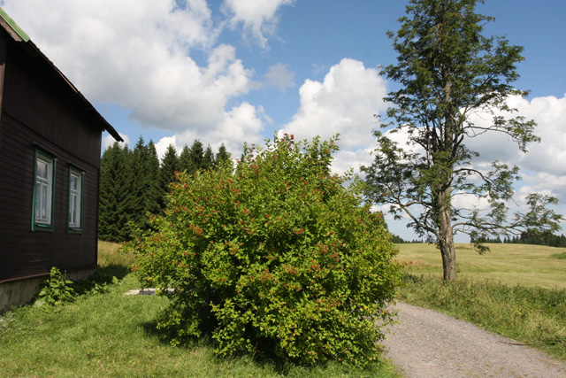 Cottage U Valášků — photo 51