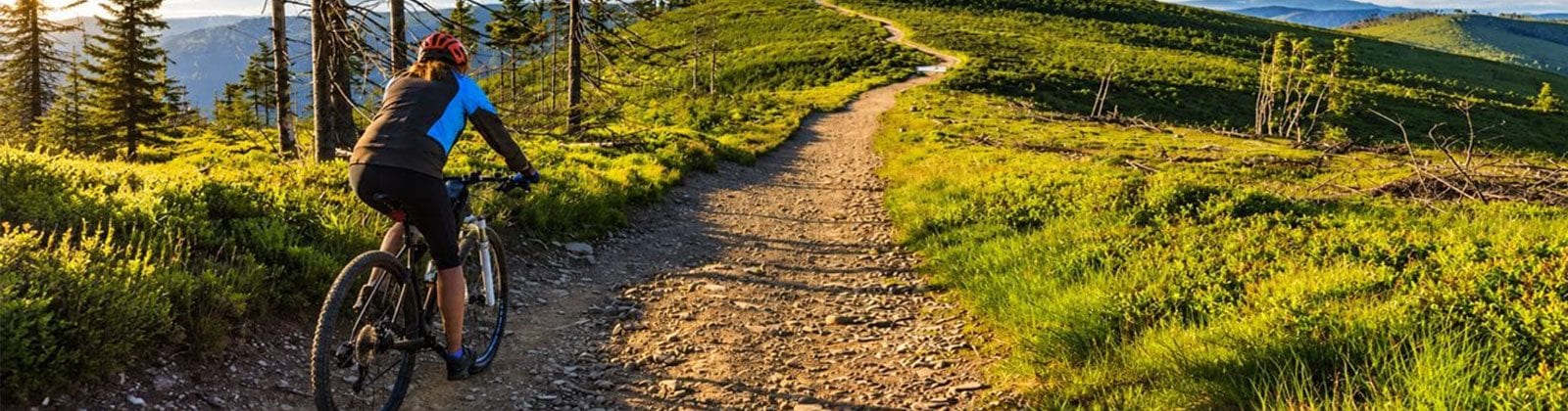 Accommodation in the heart of the Ore Mountains